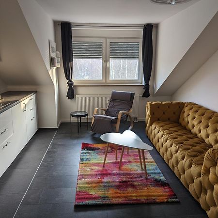 Ferienwohnung Am Stadtpark Chemnitz Exteriör bild
