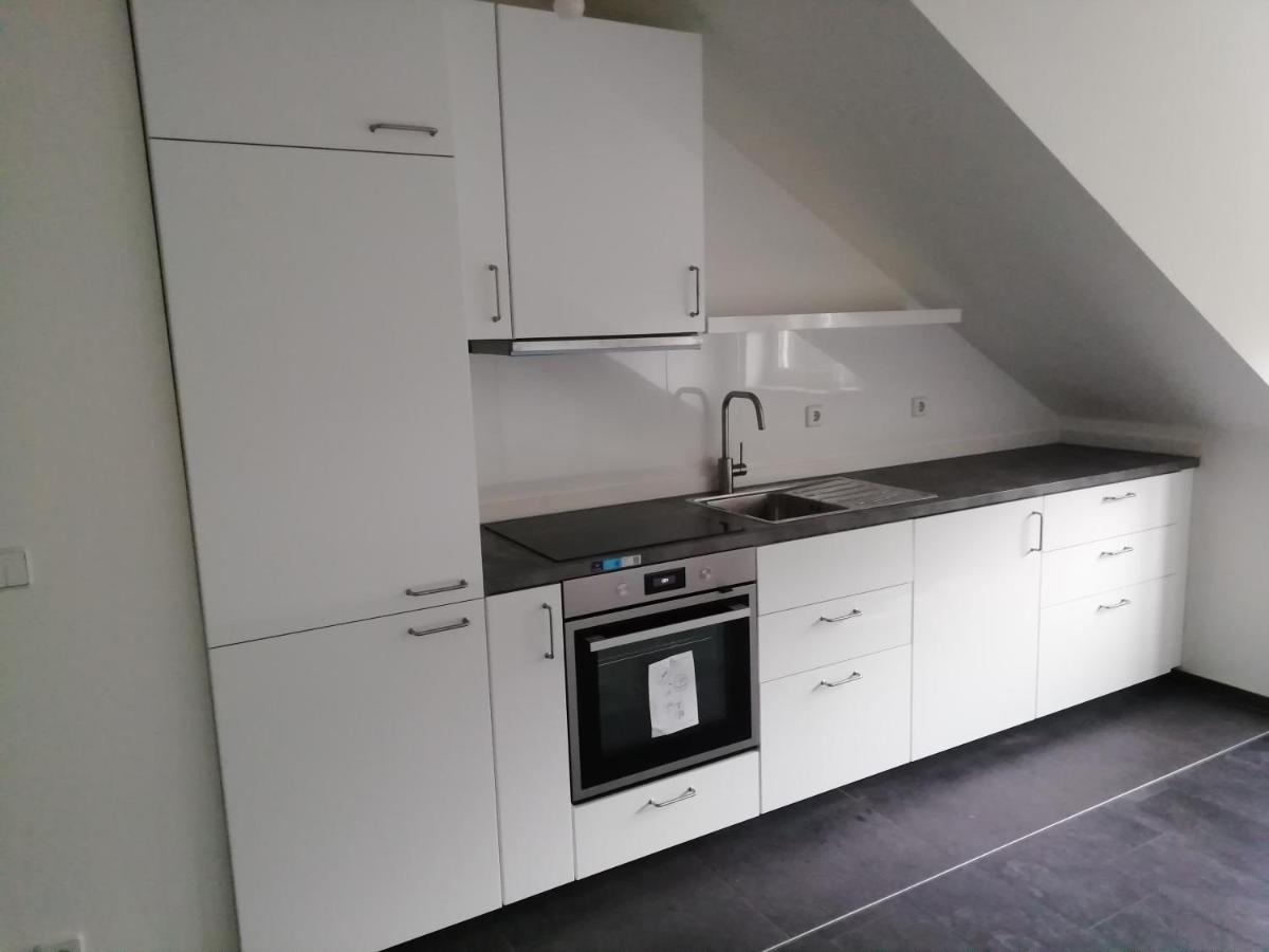 Ferienwohnung Am Stadtpark Chemnitz Exteriör bild