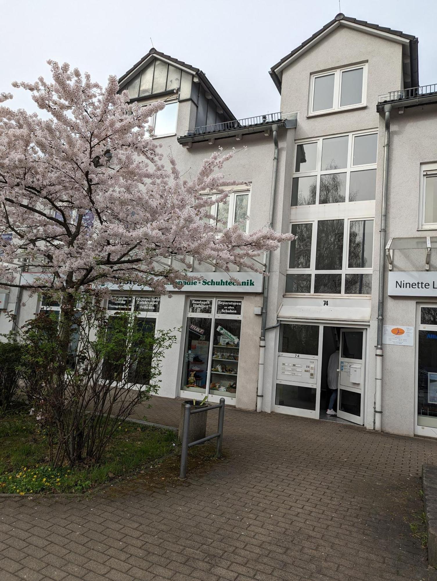 Ferienwohnung Am Stadtpark Chemnitz Exteriör bild